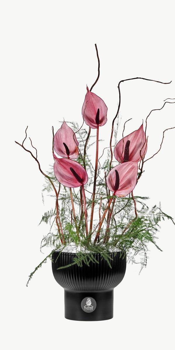 Whisper of Limonium